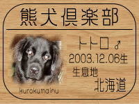 �I���E�j�[�i�̂����񂳂��BLOG��GO!